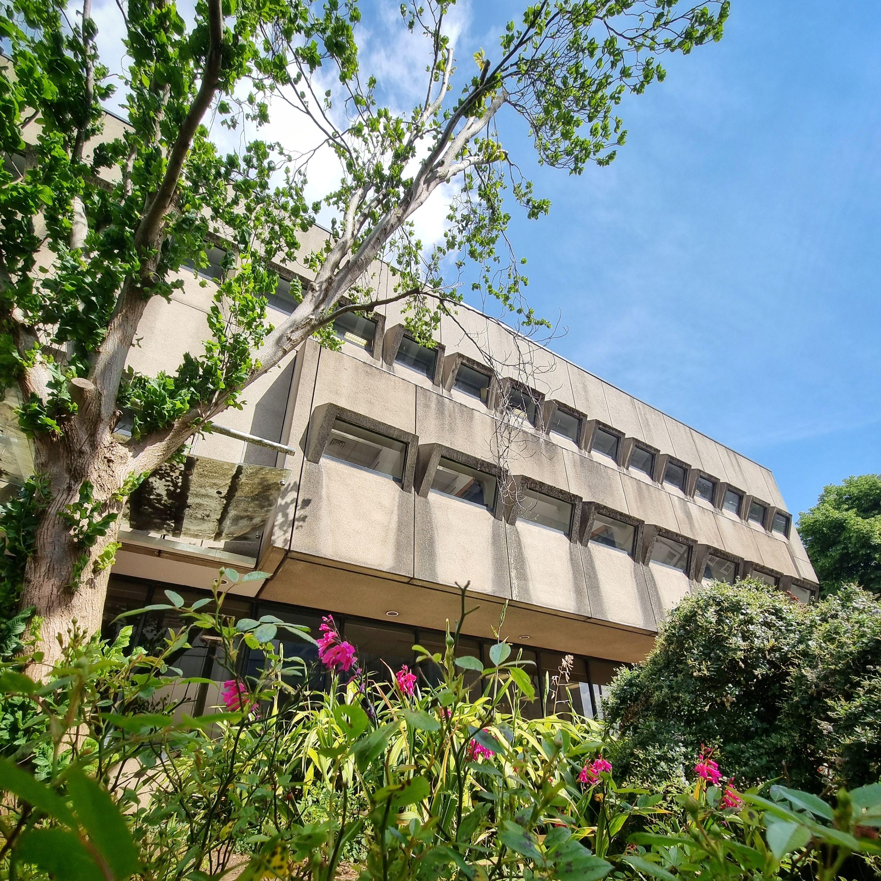 The Arts And Social Sciences Library against a blue sky, viewed through foliage and flowers